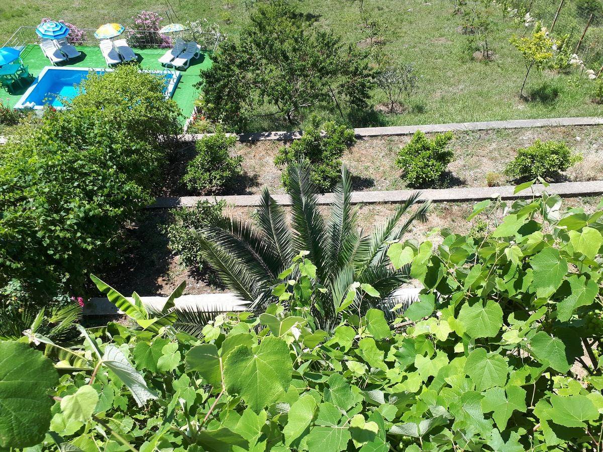 Фото Гостевого дома Мини Отель Багрыпста Цандрыпш 20